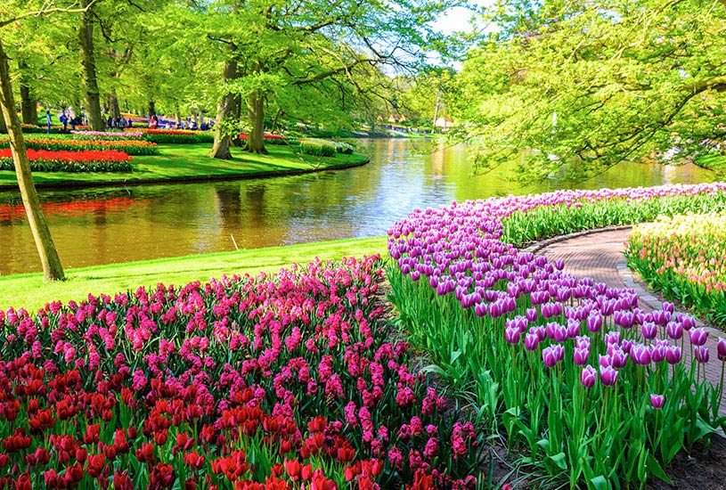 Keukenhof, Netherlands